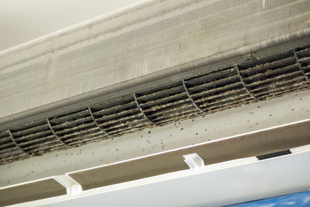 Best Emergency Air Duct Cleaning Services in Kenilworth, PA